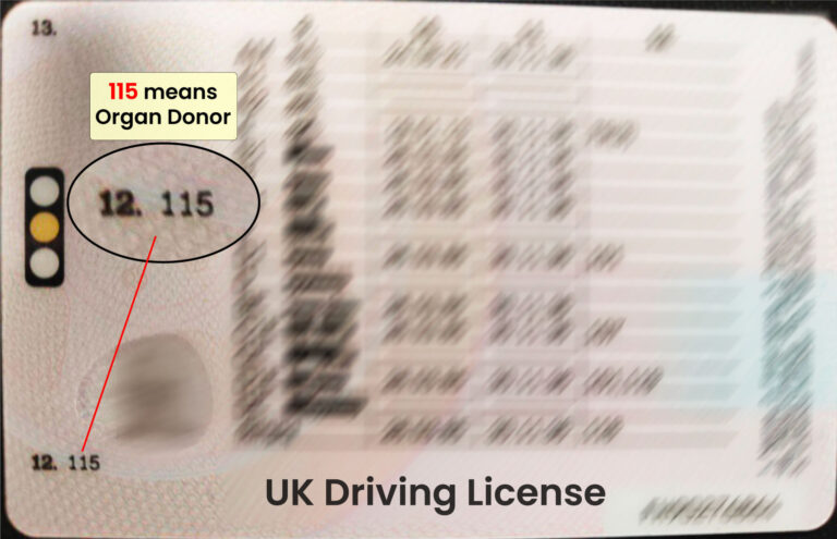 UK Driving License Organ Donor